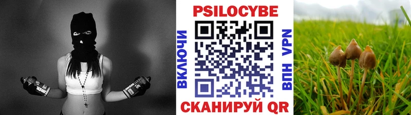 гидра сайт  Весьегонск  Галлюциногенные грибы GOLDEN TEACHER 