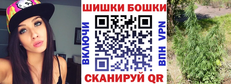 цена наркотик  Весьегонск  Каннабис ГИДРОПОН 